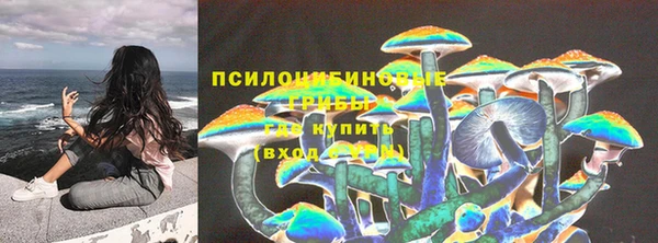 прущая мука Козельск