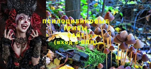герыч Кодинск