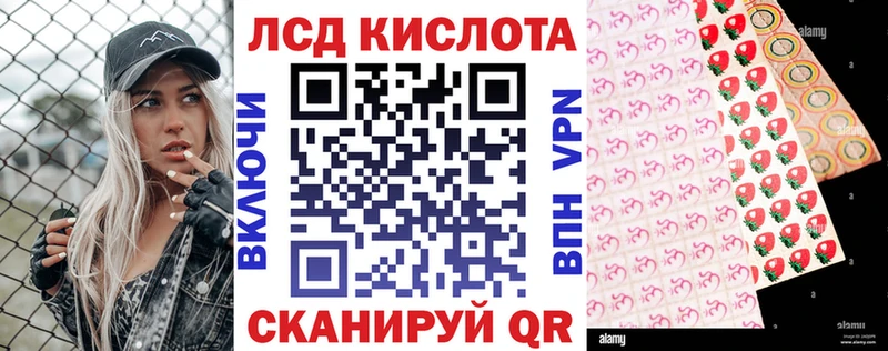 блэк спрут ТОР  Малгобек  Марки N-bome 1500мкг 